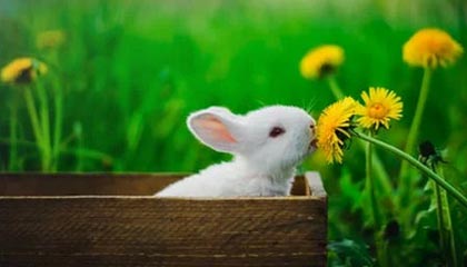 夸张!7轮13球!瓦科补时破门完成双响,泰山再度扳平2-2申花